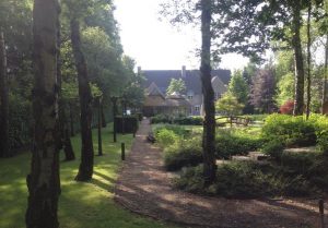 Aanleg tuinverlichting Brasschaat